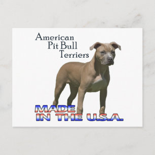 Postal Patriot American Pit Bull Terrier (APBT)