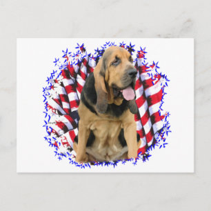 Postal Patriota Bloodhound