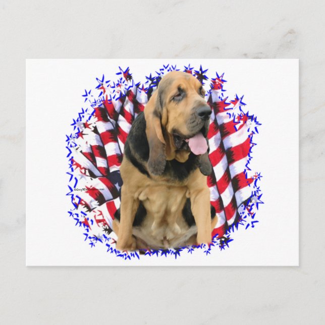 Postal Patriota Bloodhound (Anverso)