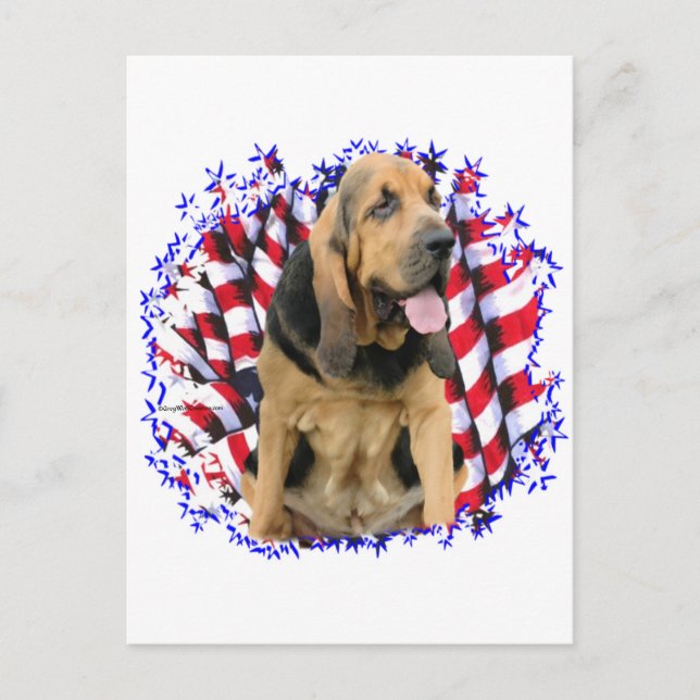 Postal Patriota Bloodhound (Anverso)