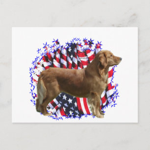 Postal Patriota de Golden Retriever