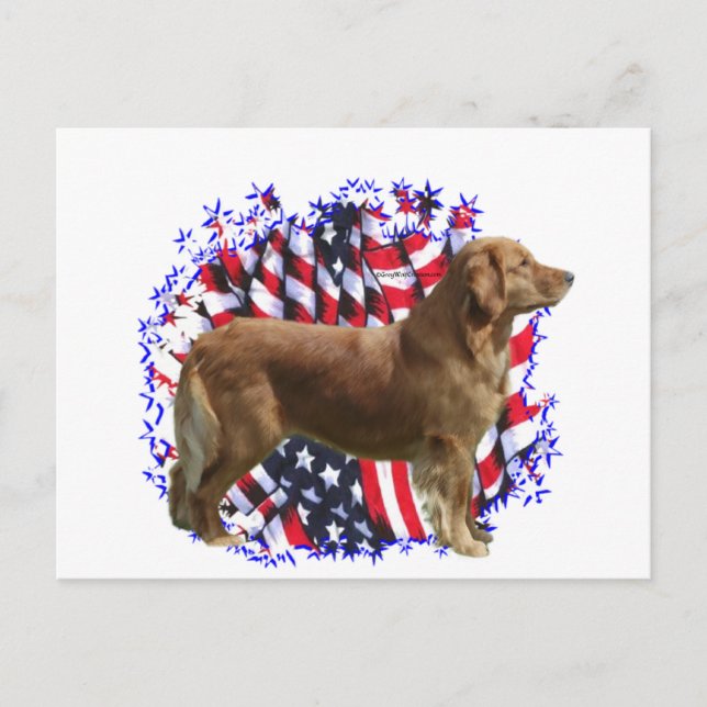 Postal Patriota de Golden Retriever (Anverso)