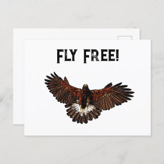 Postal Patriotic Bald Eagle USA Flying Free Nature Art