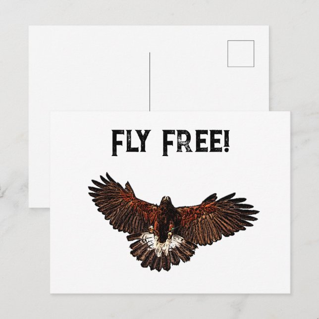 Postal Patriotic Bald Eagle USA Flying Free Nature Art (Anverso / Reverso)
