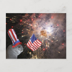 Postal Patriotic Chinchilla
