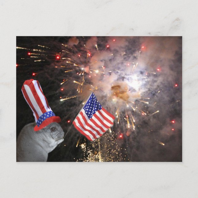 Postal Patriotic Chinchilla (Anverso)