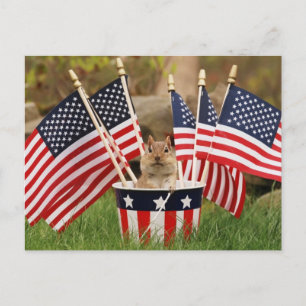 Postal Patriotic Chipmunk