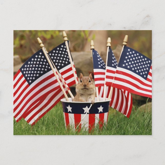 Postal Patriotic Chipmunk (Anverso)