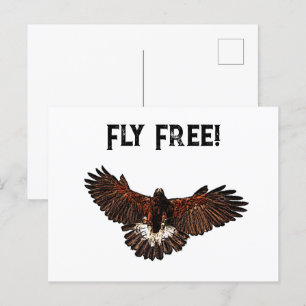 Postal Patriotic USA Eagle Hawk Fly Free Nature Art
