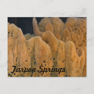 Postal Patrocinio de Tarpon Springs