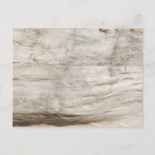 Postal Patrón antiguo de madera de roble blanco (Anverso)