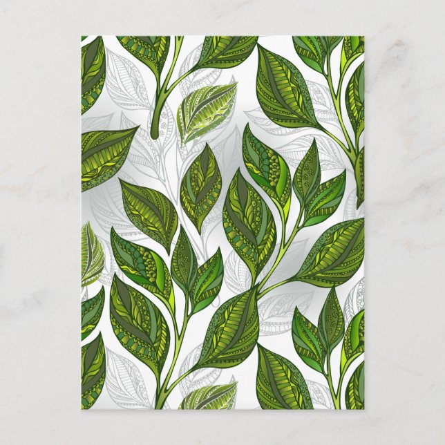Postal Patrón continuo con hojas de té verde (Anverso)