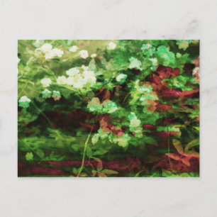Postal Patrón de arte de flor verde roja de Guay. Concept