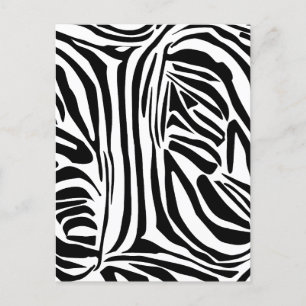 Postal Patrón de cebra