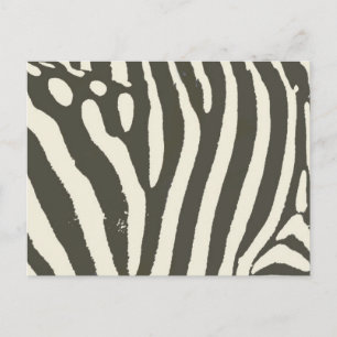 Postal Patrón de estampado animal de cebra a rayas modern