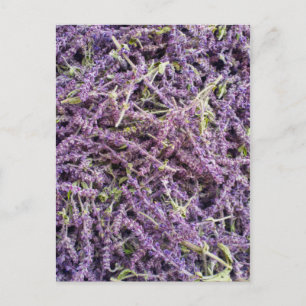 Postal Patrón de flores de lavanda