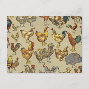 Postal Patrón de gallo vintage: Arte de granja