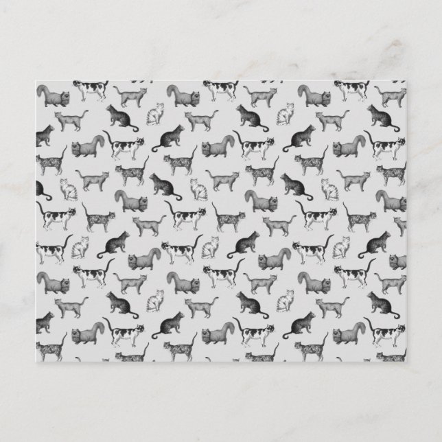 Postal Patrón de gatos vintage (Anverso)