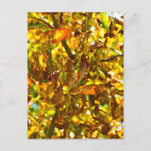 Postal Patrón de hojas de otoño