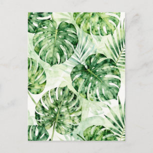 Postal Patrón de hojas de palma Monstera tropical acuarel