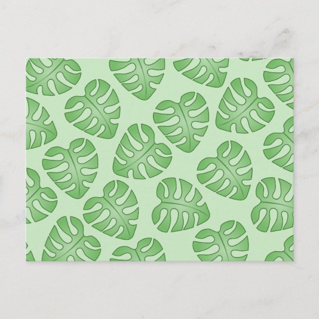 Postal Patrón de hojas verdes, hojas de monstera. (Anverso)