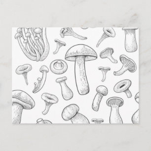 Postal Patrón de hongos