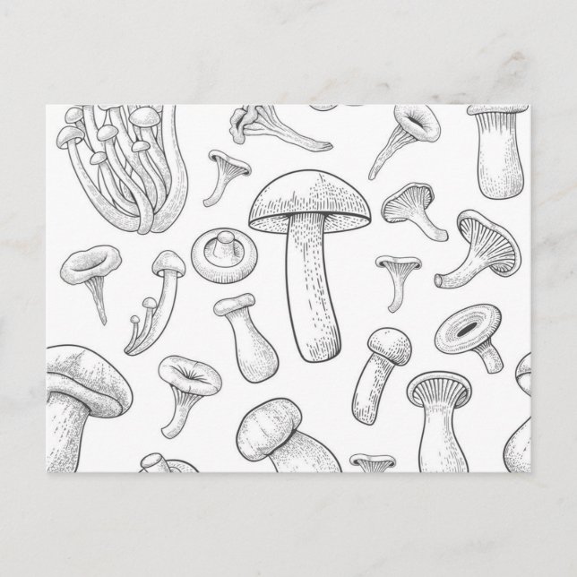 Postal Patrón de hongos (Anverso)