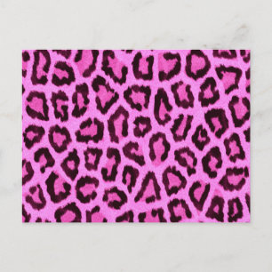 Postal Patrón de impresión de leopardo rosa