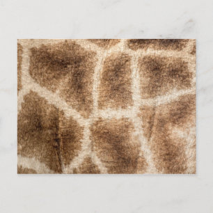 Postal Patrón de jirafa