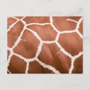 Postal Patrón de jirafa