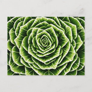 Postal Patrón de lechuga geométrica que combina la natura