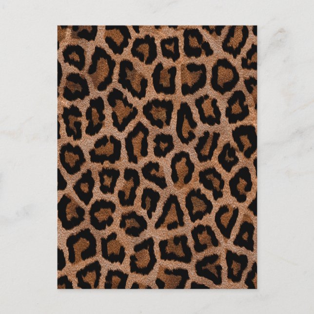 Postal Patrón de leopardo de moda de moda (Anverso)