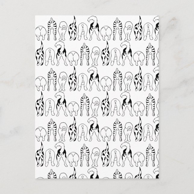 Postal Patrón de manchas de perro (Anverso)