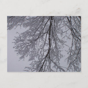 Postal Patrón de nieve en los árboles