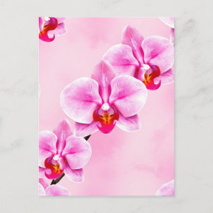 Postal Patrón de orquídea rosa floral tropical suave past