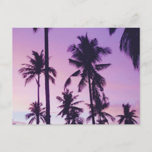 Postal Patrón de palmera