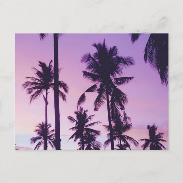 Postal Patrón de palmera (Anverso)