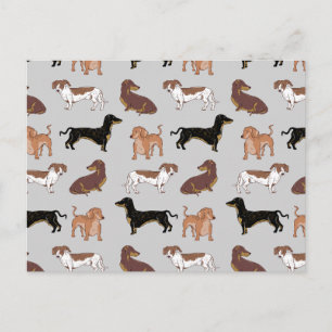 Postal Patrón de perro de Dachshund