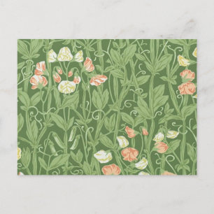 Postal Patrón de Sweet Pea de William Morris Botánico Vin