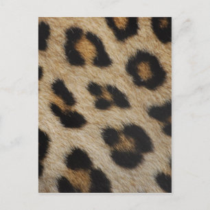 Postal Patrón de textura de piel de leopardo
