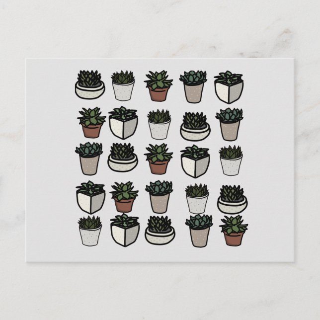 Postal Patrón mini succulento lindo (Anverso)