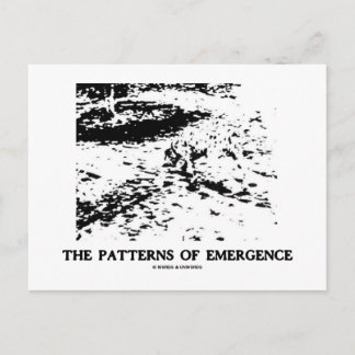 Postal Patrones De Emergencia (Ilusión Óptica Dálmata)