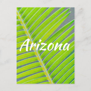 Postal Patrones de palmeras, Arizona