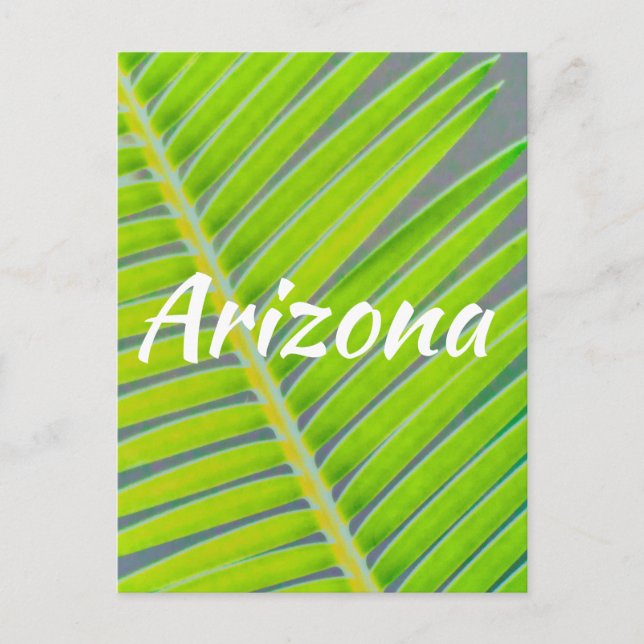 Postal Patrones de palmeras, Arizona (Anverso)