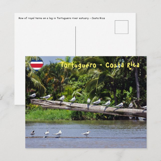 Postal Patrones reales, estuario del río Tortuguero - Cos (Anverso / Reverso)