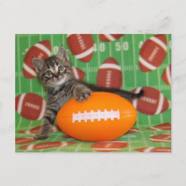 Postal Patton Juega Fútbol - Postcard Cat (Anverso)
