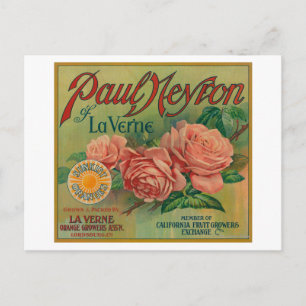 Postal Paul Neyron, de la etiqueta Naranja de La Verne