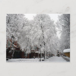 Postal Paul Revere Mall Trees cubiertos de Nieve de Invie