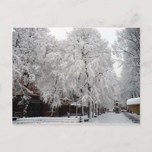 Postal Paul Revere Mall Trees cubiertos de Nieve de Invie (Anverso)