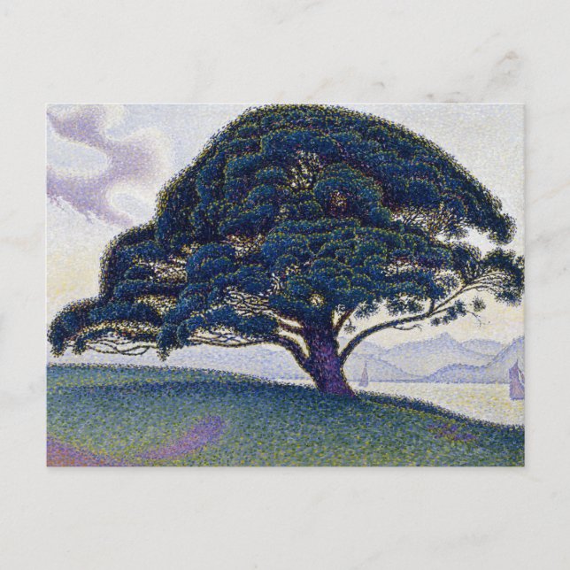 Postal Paul Signac - El Pino Bonaventure (Anverso)